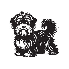 Dandie Dinmont Terrier Dog Vector - Dandie Dinmont Terrier Dog Silhouette - Dandie Dinmont Terrier Illustration.