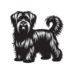 Dandie Dinmont Terrier Dog Vector - Dandie Dinmont Terrier Dog Silhouette - Dandie Dinmont Terrier Illustration.