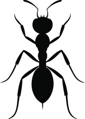 Ant Silhouette for Illustrations and Patterns