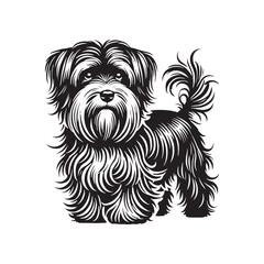 Dandie Dinmont Terrier Dog Vector - Dandie Dinmont Terrier Dog Silhouette - Dandie Dinmont Terrier Illustration.