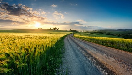 country road and green wheat fields natural scenery at sunrise