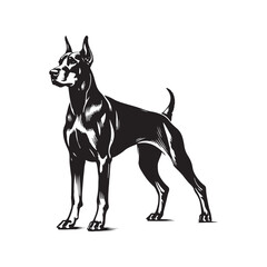 Doberman Pinscher Dog Vector - Silhouette of Doberman Pinscher Dog - Doberman Pinscher Dog Illustration.