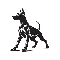 Doberman Pinscher Dog Vector - Silhouette of Doberman Pinscher Dog - Doberman Pinscher Dog Illustration.