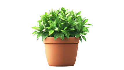 Obraz premium Lush green plant thriving in a terracotta pot on a bright, sunny day