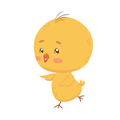 The little fluffy chicken runs quickly. Vector isolated cheerful traditional Easter character. A cute yellow chick is in hurry for  Christian holiday. Print, painting, cover. A jolly orange beak