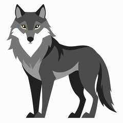 Fototapeta premium Wolf vector illustration on isolated white background