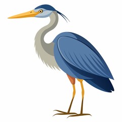 Illustration of a blue heron bird on on isolated background