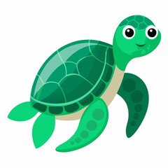 Green sea turtle illustration on white background