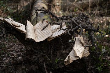 an old mysterious forest where ancient musical scores are scattered on the branches, tattered by time