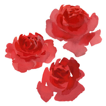 Tree red roses without leaves