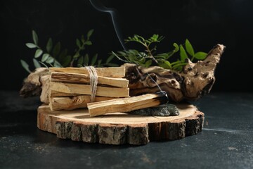 Smoldering palo santo stick, gemstone, snag and green branch on dark table, closeup
