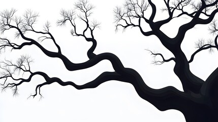 Dramatic black tree branches extending against a bright white background
