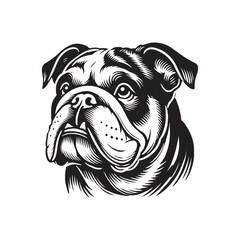 English Bulldog  Vector - Minimalist English Bulldog  Silhouette - English Bulldog Illustration.
