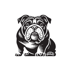 English Bulldog  Vector - Minimalist English Bulldog  Silhouette - English Bulldog Illustration.