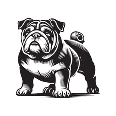 English Bulldog  Vector - Minimalist English Bulldog  Silhouette - English Bulldog Illustration.