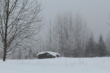 the second abandoned bathhouse in the snowy forest at the end of winter