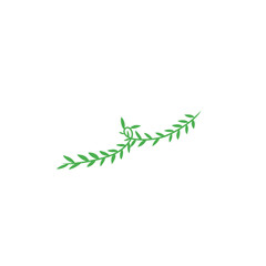vines vector decoration