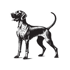 English Pointer Dog Silhouette - Minimalist Dog Design - English Pointer Dog Illustration.