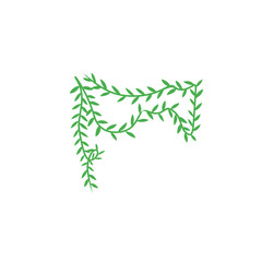vines vector decoration