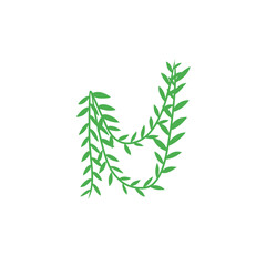 vines vector decoration
