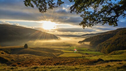 Obraz premium Scenic Sunrise Over Verdant Valley Illuminated by Golden Light and Mist