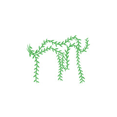 vines vector decoration
