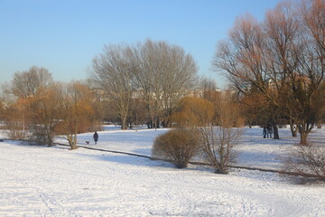 Power line in city park, urbanism, Yuzhnoye Butovo, Moscow, February 2025, 3