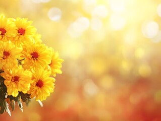 Vibrant Yellow Chrysanthemum Bouquet Autumn Flowers Background