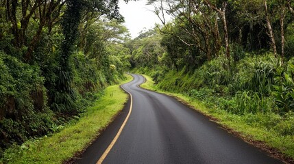 Beautiful cycling experiences scenic routes and lush ecotourism trails