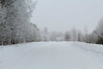 Obraz premium Dirt road in winter forest during fog in late winter