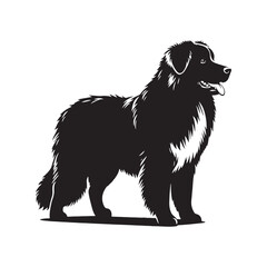 Obraz premium Estrela Mountain Dog Vector - Estrela Mountain Dog Design - Minimalist Estrela Mountain Dog Silhouette.