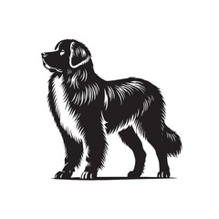 Estrela Mountain Dog Vector - Estrela Mountain Dog Design - Minimalist Estrela Mountain Dog Silhouette.