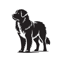 Estrela Mountain Dog Vector - Estrela Mountain Dog Design - Minimalist Estrela Mountain Dog Silhouette.