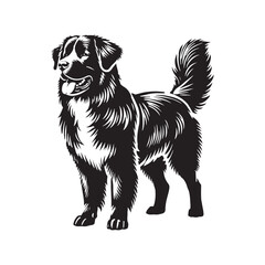 Estrela Mountain Dog Vector - Estrela Mountain Dog Design - Minimalist Estrela Mountain Dog Silhouette.