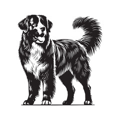 Estrela Mountain Dog Vector - Estrela Mountain Dog Design - Minimalist Estrela Mountain Dog Silhouette.