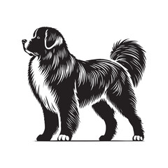 Estrela Mountain Dog Vector - Estrela Mountain Dog Design - Minimalist Estrela Mountain Dog Silhouette.