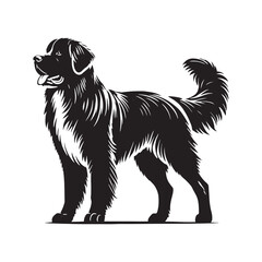 Estrela Mountain Dog Vector - Estrela Mountain Dog Design - Minimalist Estrela Mountain Dog Silhouette.