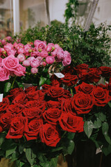 different assortment of flowers and compositions
