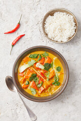 Kürbis-Curry an Kokosmilchsauce