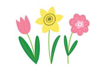 Three simple spring flowers doodle vector illustration in naive Scandi hand drawn graphic style. Minimalist stylized daffodil, tulip and daisy floral clipart for Easter, spring, 8 march designs