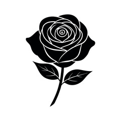 black rose vector illustration