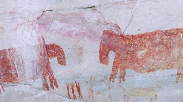 Drone close-up shot revealing an ancient paintings panel showing two tapirs