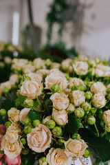 different assortment of flowers and compositions
