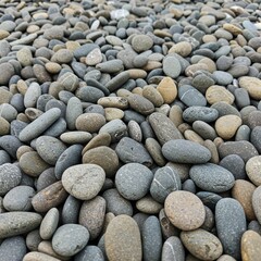 pebbles on the beach