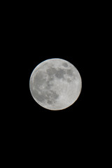 Fototapeta premium Full moon close-up.