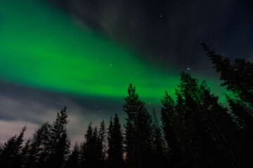 Fototapeta premium Aurora Borealis / Northern Lights in North Finland. Travel Finland Background. In Kittilä / Levi.