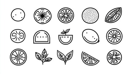 Simple Citrus Line Drawings