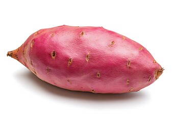Fresh Pink Sweet Potato  Raw Tuber Vegetable