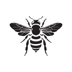 Honey Bee icon, honey bee silhouette on white background