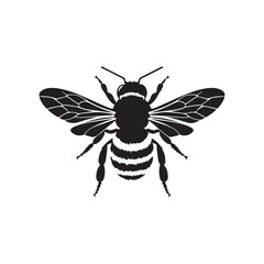 vector illustration of a bee